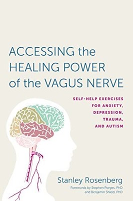 Cover of Accessing the Healing Power of the Vagus Nerve